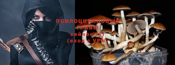 прущий лед Аркадак