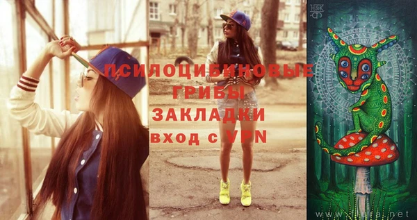 прущий лед Аркадак