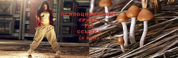 мет Арсеньев