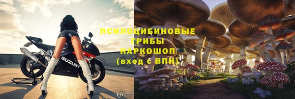 мет Арсеньев