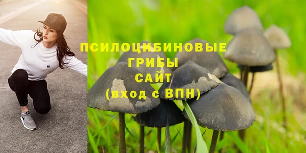 ALPHA-PVP Армянск