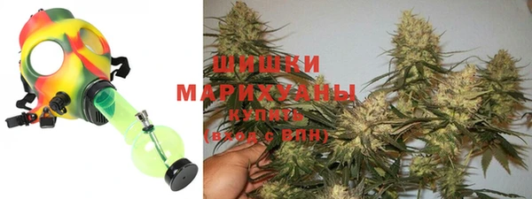 мет Арсеньев