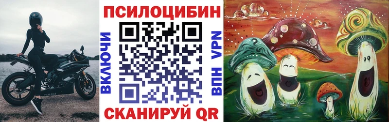 Галлюциногенные грибы мухоморы хочу МЕГА сайт Нововоронеж