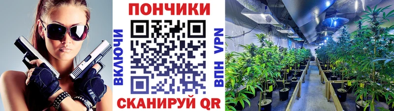 купить наркотик  Нововоронеж  МАРИХУАНА план 